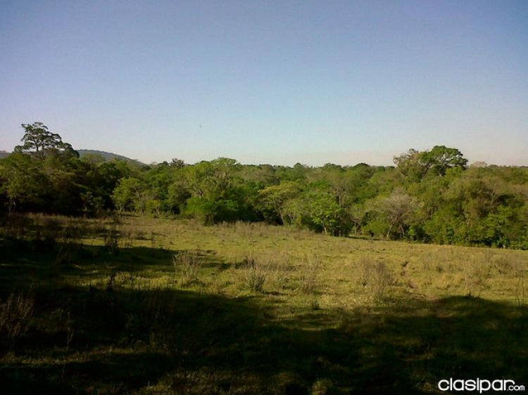Foto Campo en Venta en guazucua, , Paraguar - 30 hectareas - G 15.000.000 - CPV466 - BienesOnLine