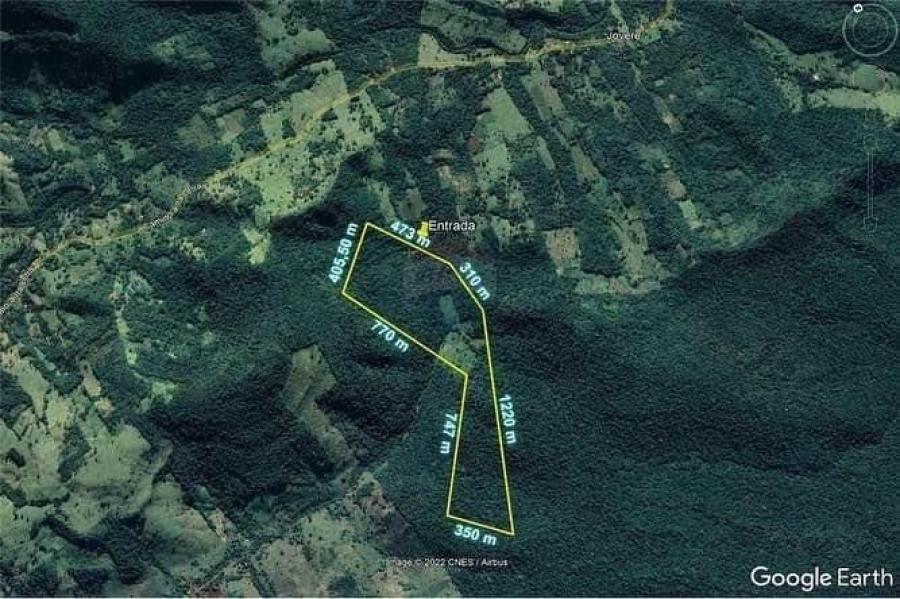 Foto Campo en Venta en Independencia, Guairá - 52 hectareas - G 850.000.000 - CPV2257 - BienesOnLine