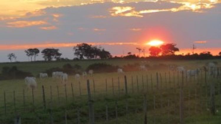 Foto Vendo Estancia Agricola - Ganadera totalmente formada y mecanizada.