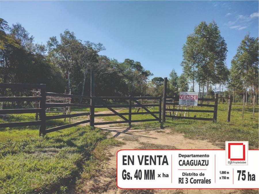 Foto Campo en Venta en Zona Centro, R.I.3 Corrales, Caaguaz - G 35.000.000 - CPV1977 - BienesOnLine