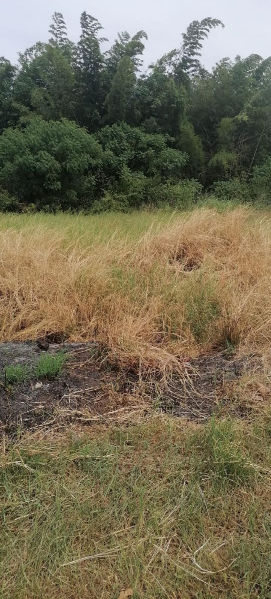 Foto Terreno en Venta en Mboi'y, Capiatá, Central - G 40.000.000 - TEV2159 - BienesOnLine