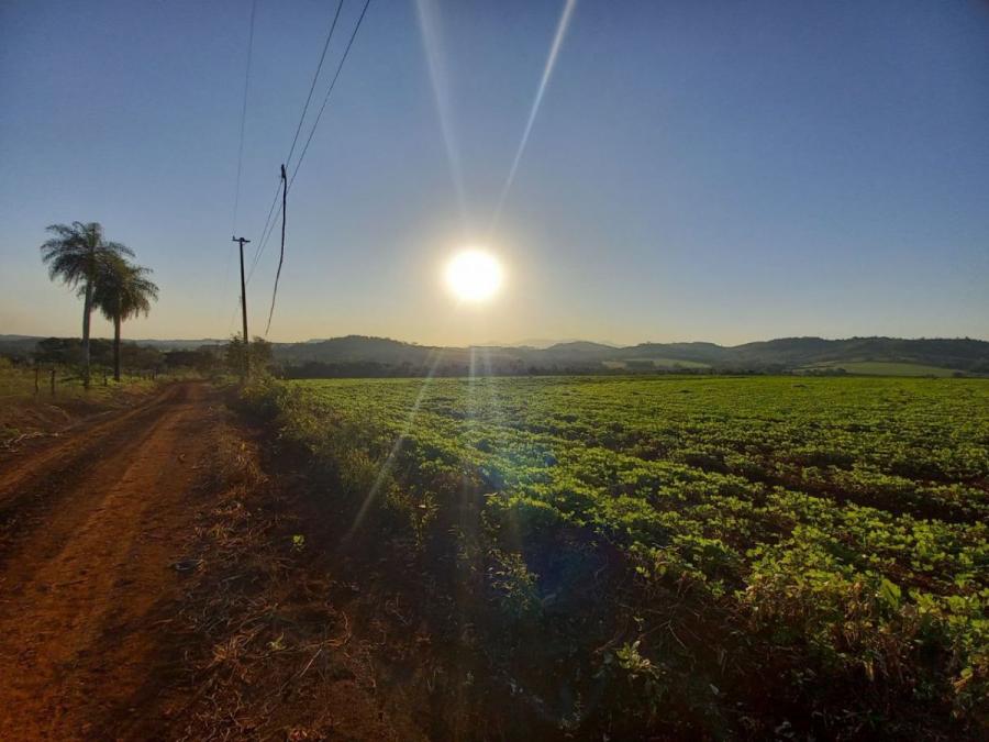 Foto Campo en Venta en Compañía Loro Blanco, José Fassardi, Guairá - 48 hectareas - U$D 160.000 - CPV2412 - BienesOnLine