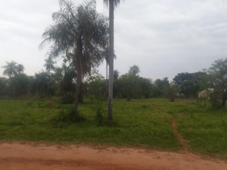 Foto Terreno en Venta en Barrio Industrial, Caaguazú, Caaguazú - 3 hectareas - G 500.000.000 - TEV1646 - BienesOnLine