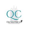 QC BIENES RAICES S.A.C.