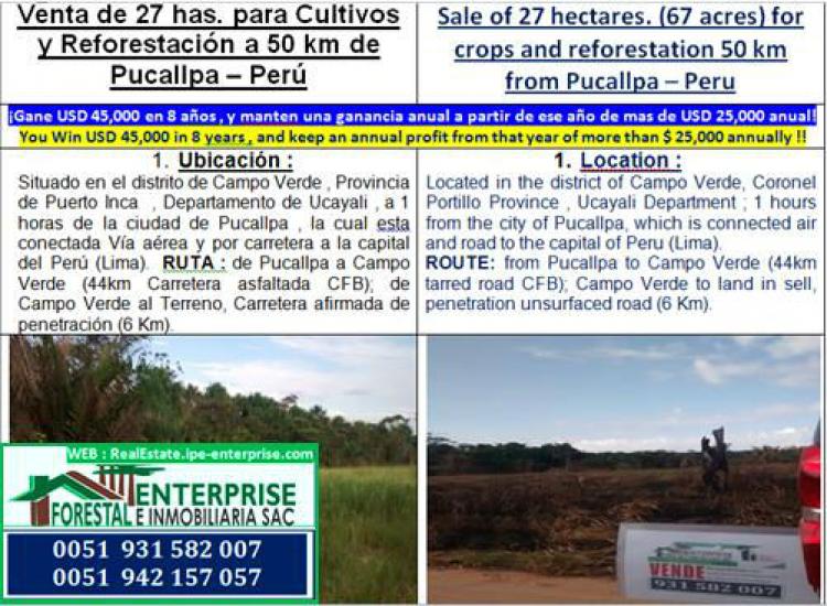 Foto Agricola en Venta en Campo Verde, , Ucayali - 27 hectareas - U$D 15.000 - AGV19043 - BienesOnLine