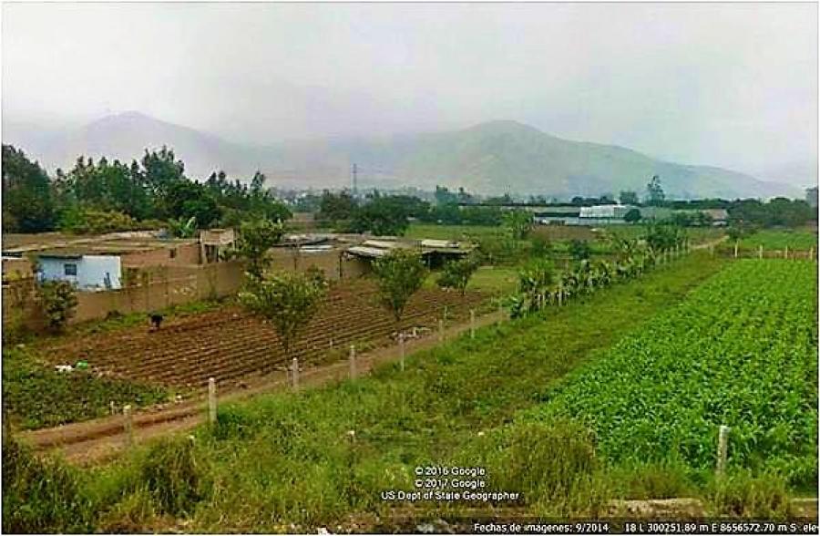 Foto Agricola en Venta en Cieneguilla, Lima - U$D 470.000 - AGV29147 - BienesOnLine