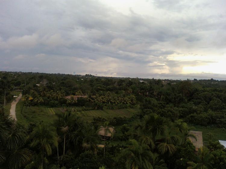 Foto Terreno en Venta en Iquitos, Maynas - 38 hectareas - U$D 200.000 - TEV6352 - BienesOnLine