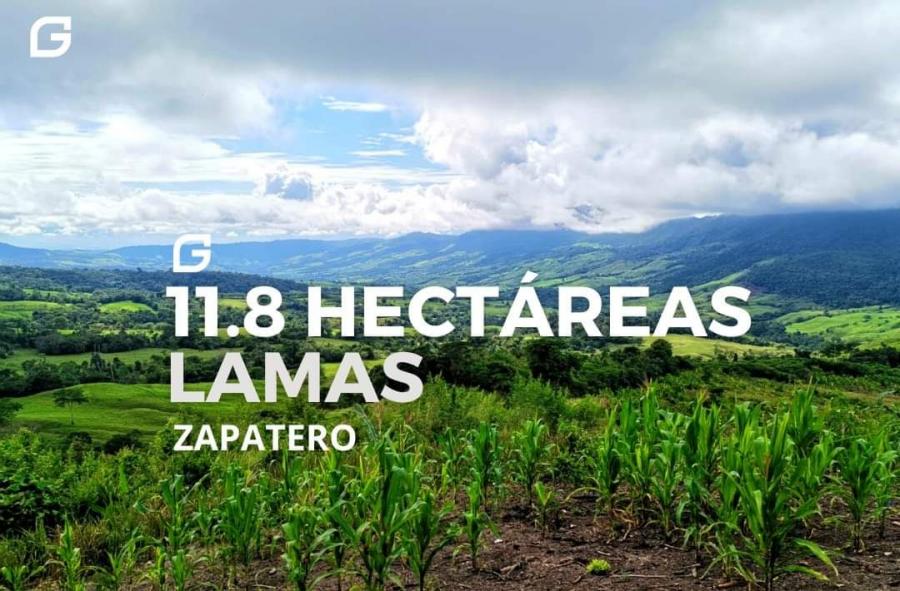 Foto Terreno en Venta en Lamas - zapatero, Zapatero, San Martin - S/. 165.000 - TEV36473 - BienesOnLine