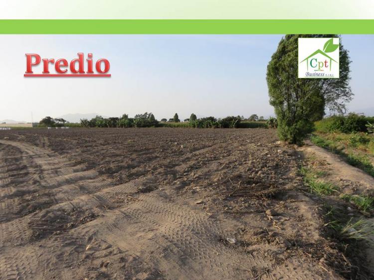 Foto Terreno en Venta en Huaral, Huaral - 4 hectareas - U$D 85.000 - TEV24517 - BienesOnLine