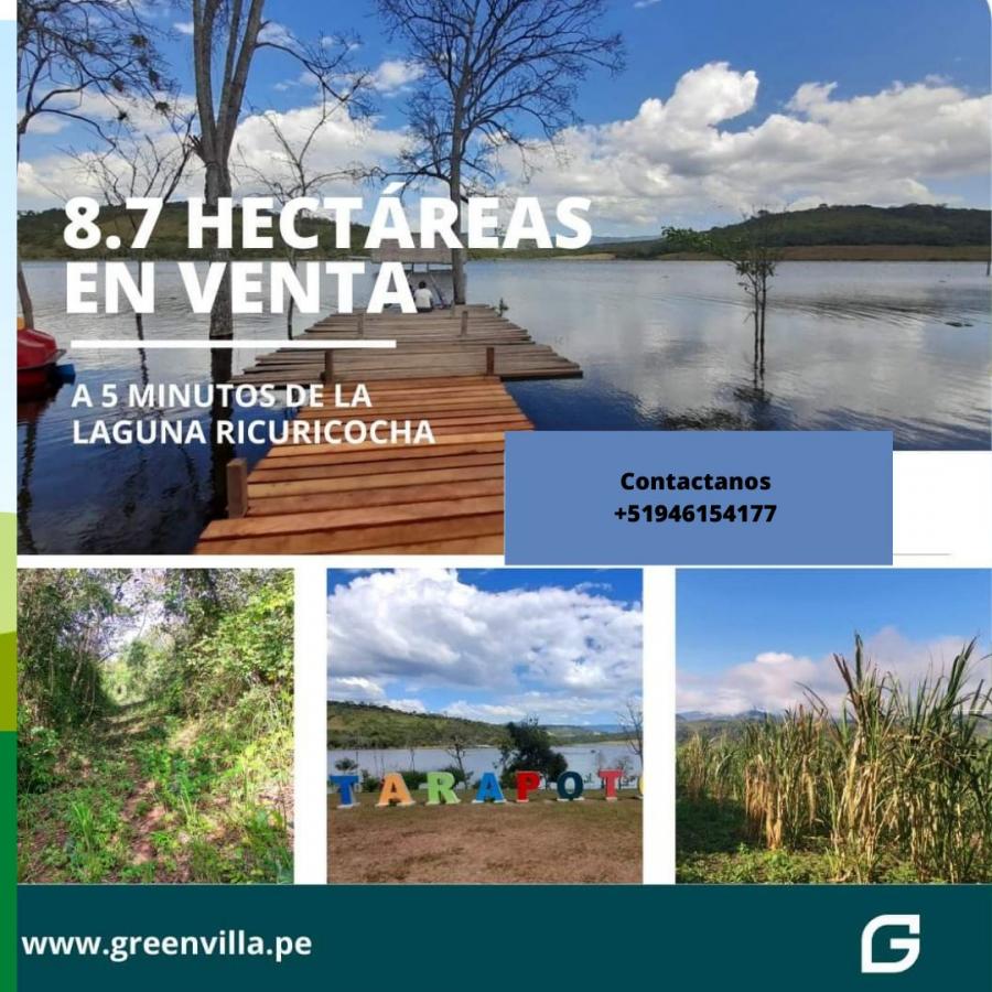 Foto Proyecto en Venta en Laguna Ricuricocha - Tarapoto, Ricuricocha - Tarapoto, San Martin - S/. 360.000 - PRV36479 - BienesOnLine