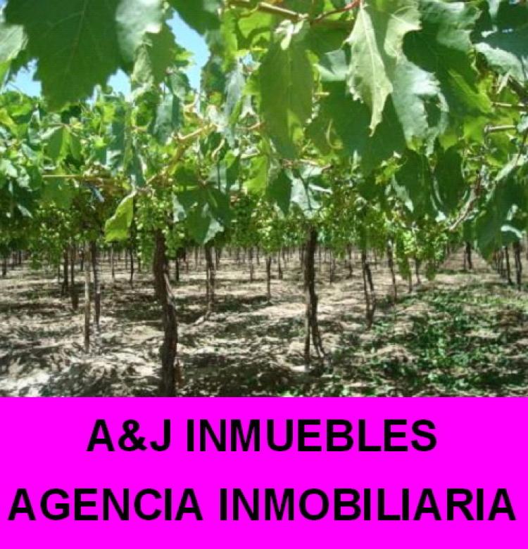 Foto Agricola en Venta en PIURA, PIURA, Piura - 1435 hectareas - U$D 1.400 - AGV2985 - BienesOnLine