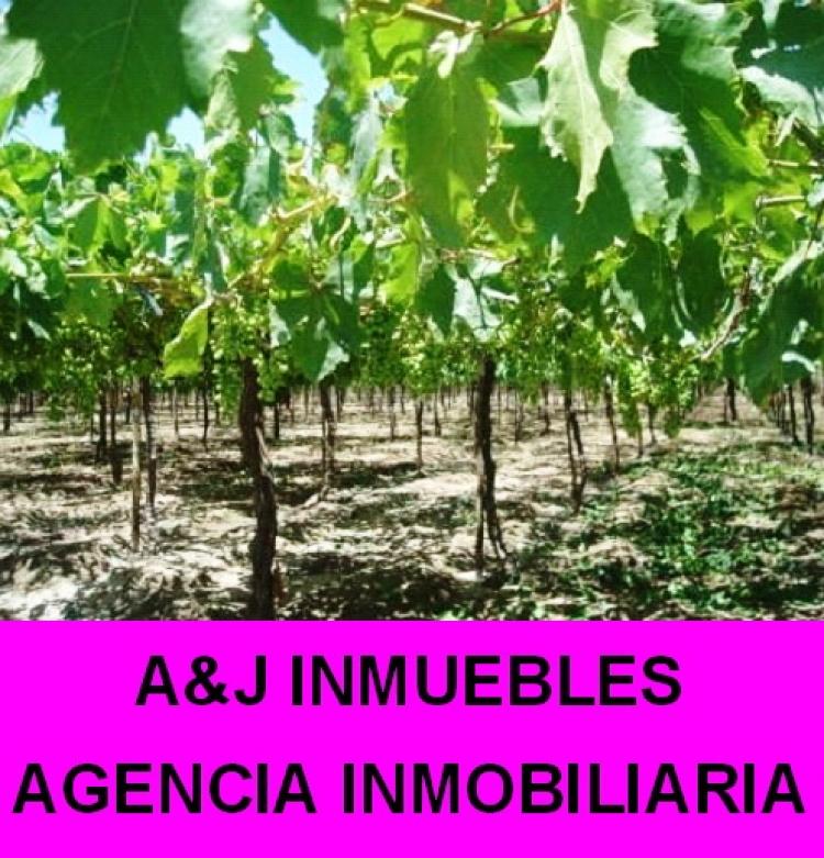 Foto Agricola en Venta en URB. SAN ISIDRO, Ica, Ica - U$D 7.000 - AGV4884 - BienesOnLine