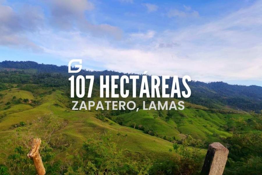 Foto Terreno en Venta en Zapatero - lamas, Tarapoto, San Martin - S/. 1.070.000 - TEV36543 - BienesOnLine