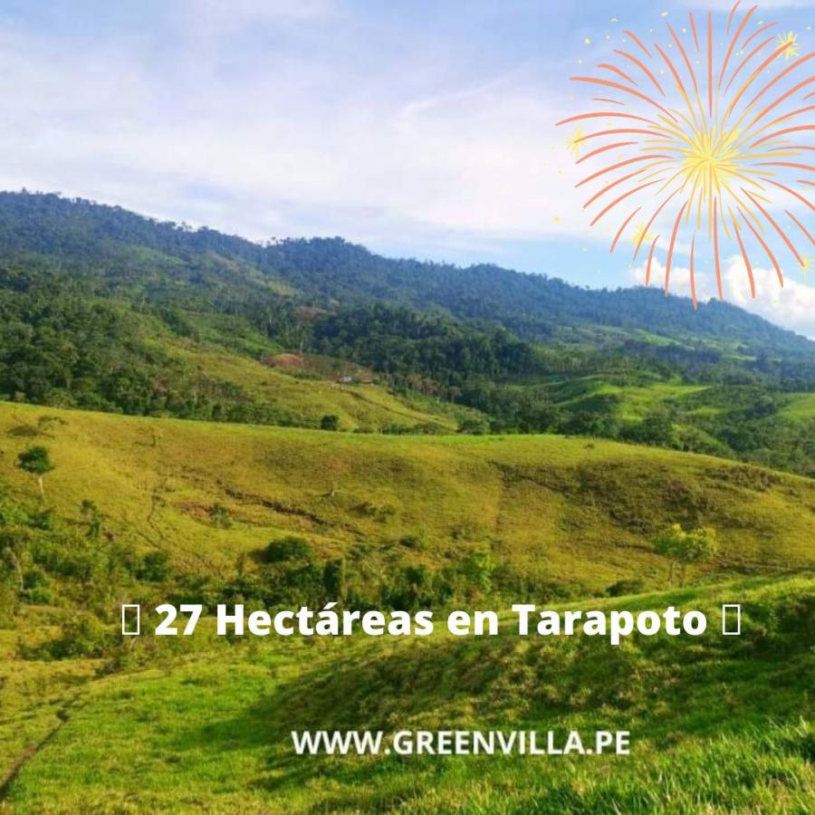Foto Terreno en Venta en Tarapoto, Tarapoto, San Martin - S/. 480.000 - TEV36523 - BienesOnLine