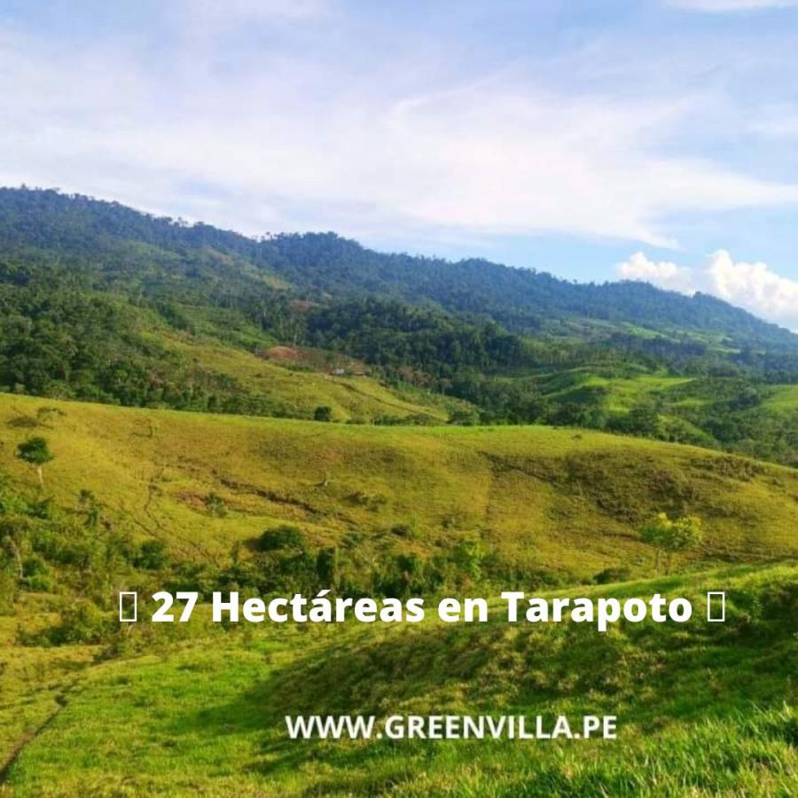 Foto Terreno en Venta en Tarapoto, Tarapoto, San Martin - S/. 480.000 - TEV36524 - BienesOnLine