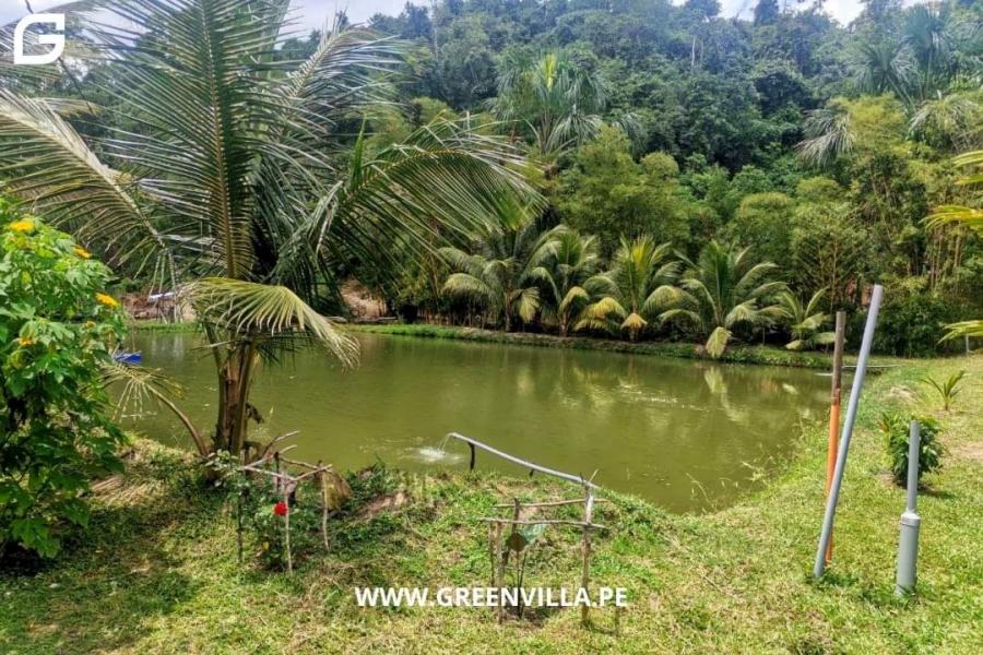 Foto Terreno en Venta en Laguna de SAUCE- Tarapoto, Sauce - Tarapoto, Lima - U$D 650.000 - TEV36448 - BienesOnLine