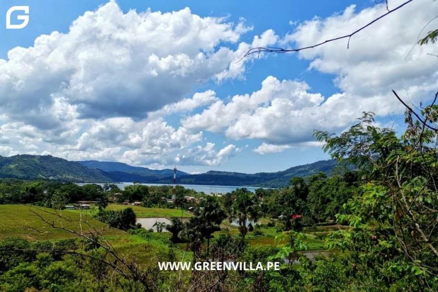 Foto Terreno en Venta en Laguna de SAUCE- Tarapoto, Sauce - Tarapoto, San Martin - U$D 650.000 - TEV36451 - BienesOnLine