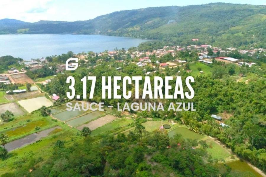 Foto Terreno en Venta en Laguna de SAUCE- Tarapoto, Sauce - Tarapoto, San Martin - U$D 650.000 - TEV36450 - BienesOnLine