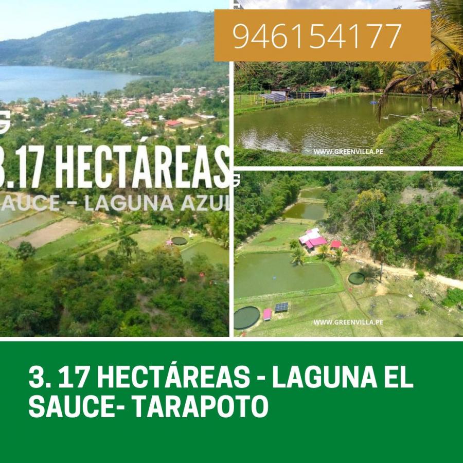 Foto Terreno en Venta en Laguna de SAUCE- Tarapoto, Sauce - Tarapoto, San Martin - U$D 650.000 - TEV36465 - BienesOnLine
