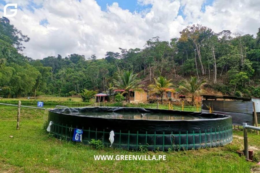 Foto Terreno en Venta en Sauce Tarapoto, Tarapoto, San Martin - U$D 650.000 - TEV36537 - BienesOnLine