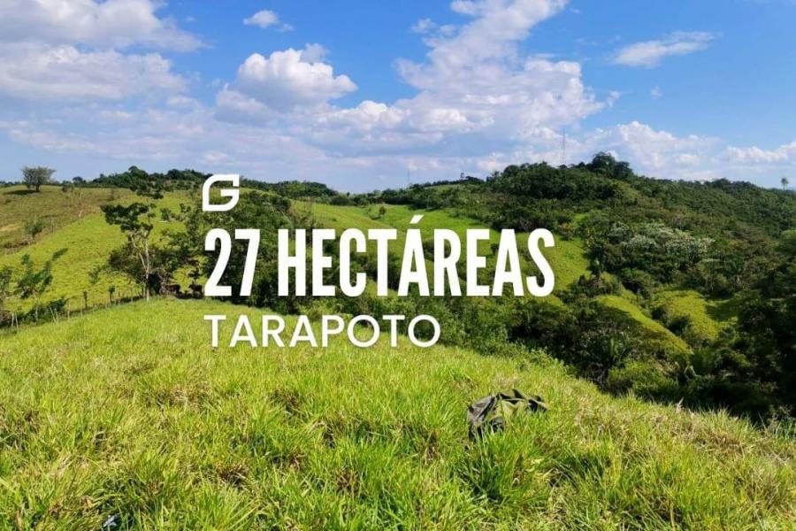 Foto Terreno en Venta en Lamas, Tarapoto, San Martin - S/. 480.000 - TEV36520 - BienesOnLine