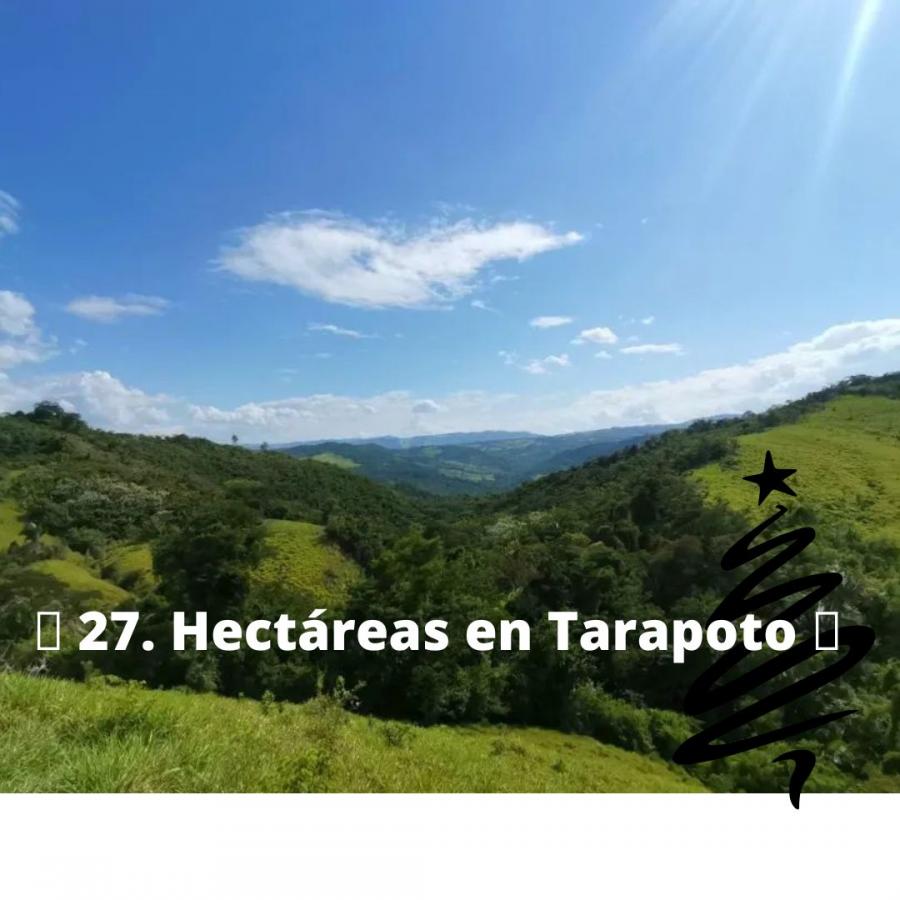 Foto Terreno en Venta en Lamas, Tarapoto, San Martin - S/. 480.000 - TEV36521 - BienesOnLine