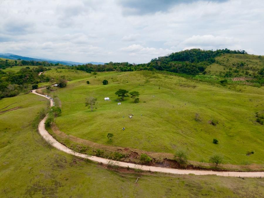 Foto Condominio en Alquiler por temporada en Zapatero, Tarapoto, San Martin - S/. 40.000 - COT38152 - BienesOnLine