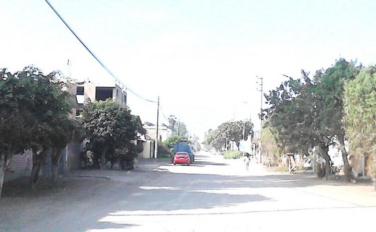 Home in Metric Way