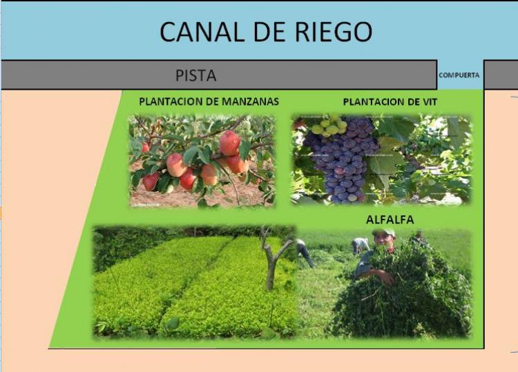 Foto Agricola en Venta en Pueblo Nuevo, Chincha - 11 hectareas - U$D 400.000 - AGV5176 - BienesOnLine