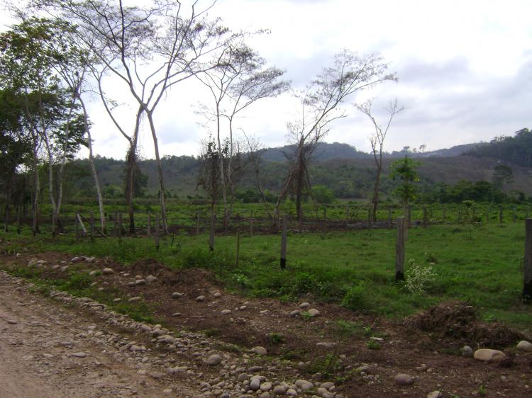 Foto Agricola en Venta en Bombonajillo, Picota, Picota - 801 hectareas - U$D 1.281.600 - AGV3735 - BienesOnLine