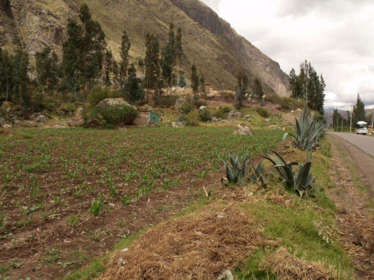 Foto Terreno en Venta en Ollantaytambo, Urubamba - U$D 400.000 - TEV7817 - BienesOnLine