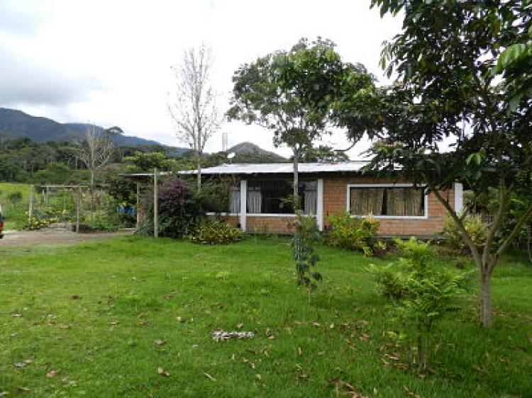 Foto Casa en Alquiler en Moyobamba, Moyobamba, Moyobamba - CAA9668 - BienesOnLine