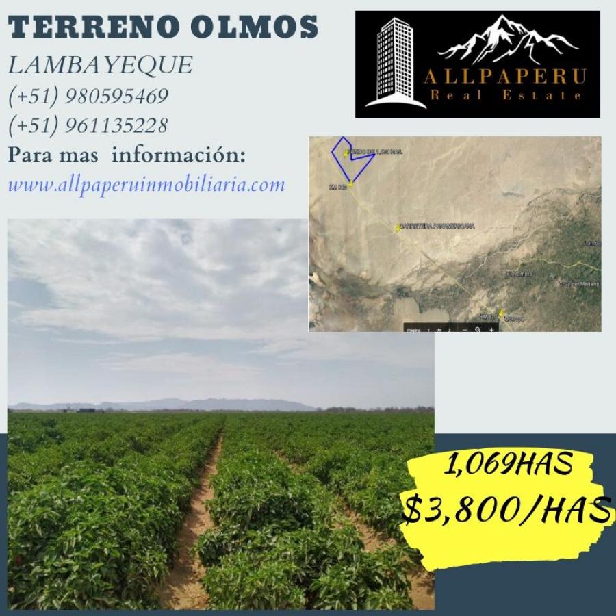 Foto Terreno en Venta en Morrope, Lambayeque - 1069 hectareas - U$D 4.062.200 - TEV30099 - BienesOnLine