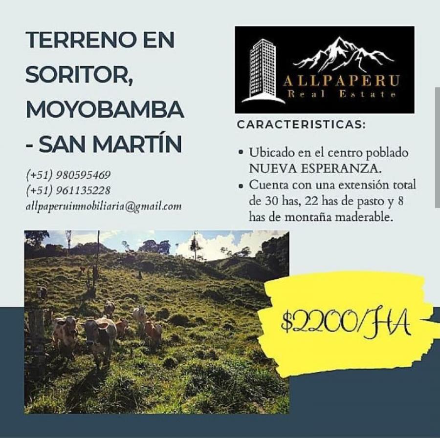 Foto Terreno en Venta en Nueva Esperanza, Soritor, Moyobamba - 30 hectareas - U$D 66.000 - TEV30100 - BienesOnLine
