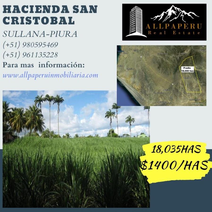 Foto Terreno en Venta en Ignacio Escudero, Sullana, Sullana - 18 hectareas - U$D 25.249.000 - TEV30101 - BienesOnLine