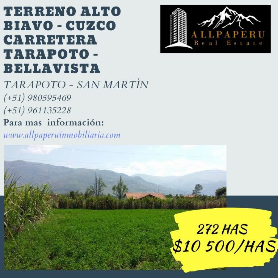 Foto Terreno en Venta en Alto Biavo, Bellavista - 272 hectareas - U$D 10.500 - TEV31340 - BienesOnLine