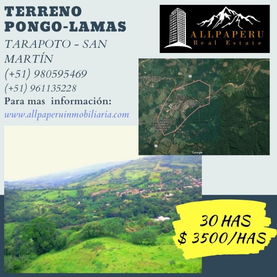 Foto Terreno en Venta en Caynarachi, Lamas - 35 hectareas - U$D 3.500 - TEV31345 - BienesOnLine