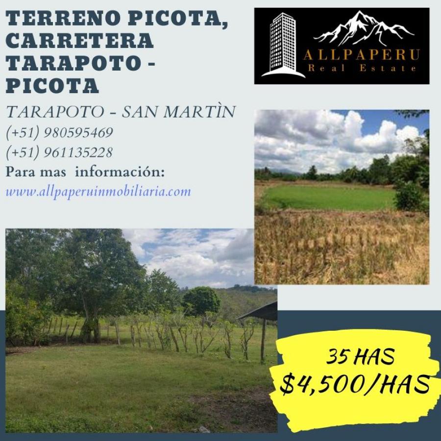Foto Terreno en Venta en Picota, Picota - 35 hectareas - U$D 4.500 - TEV31348 - BienesOnLine