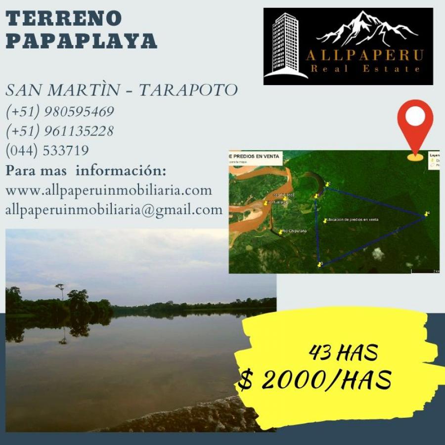 Foto Terreno en Venta en Papaplaya, San Martin - 43 hectareas - U$D 2.000 - TEV31374 - BienesOnLine