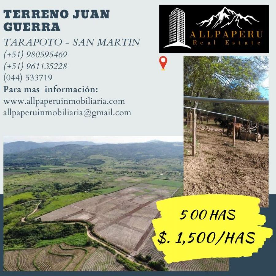 Foto Terreno en Venta en Juan Guerra, San Martin - 500 hectareas - U$D 1.500 - TEV31413 - BienesOnLine