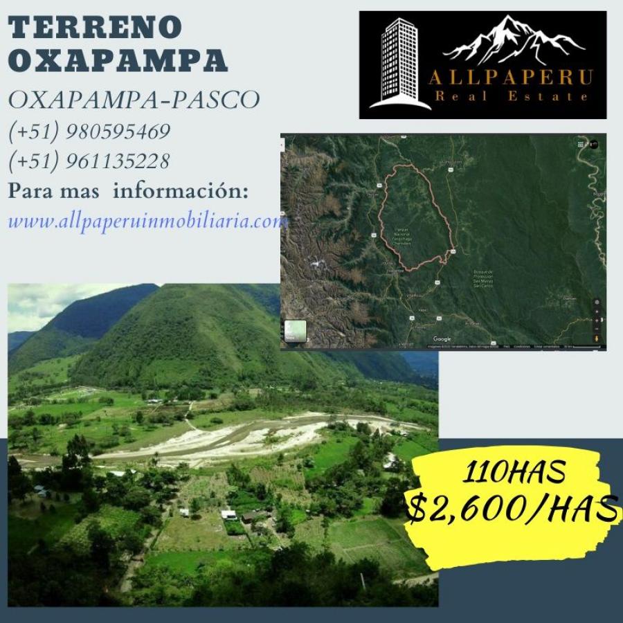 Foto Terreno en Venta en Palcazu, Oxapampa - 110 hectareas - U$D 2.600 - TEV30096 - BienesOnLine