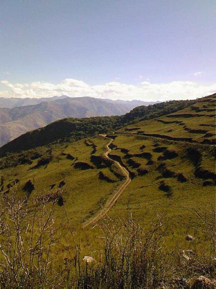 Foto Terreno en Venta en Tomauquichua, Tomayquichua, Huanuco - TEV2428 - BienesOnLine