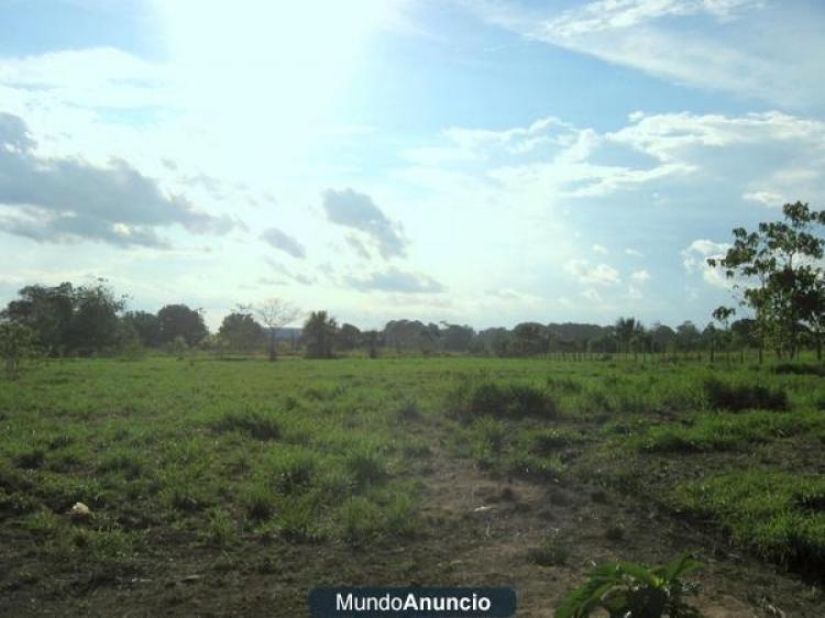 Foto Agricola en Venta en pucallpa, pucallpa, Ucayali - 106 hectareas - U$D 300.000 - AGV3079 - BienesOnLine