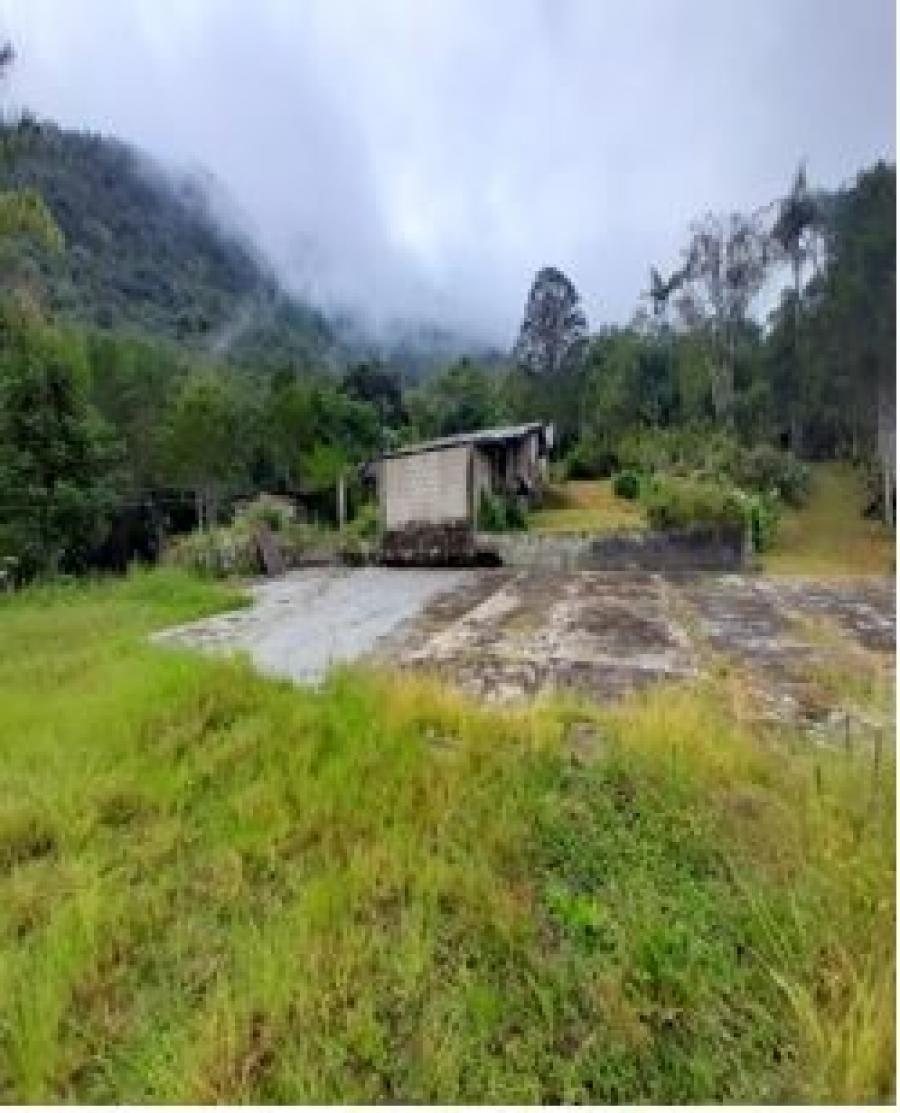 Foto Agricola en Venta en SECTOR LA PERLA, DISTRITO DE SAN RAMN, San Ramon, Chanchamayo - U$D 1.000.000 - AGV34804 - BienesOnLine