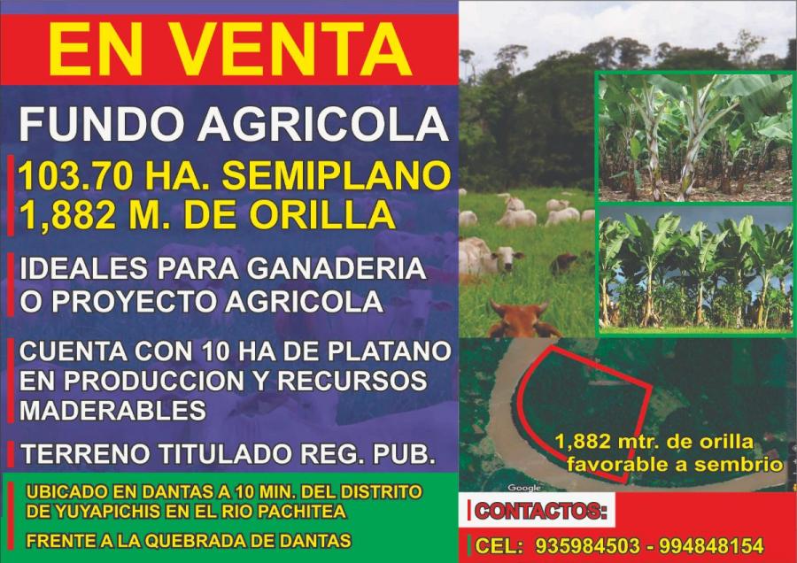 Foto Agricola en Venta en Yuyapichis, Yuyapichis, Puerto Inca - 104 hectareas - S/. 980.000 - AGV36192 - BienesOnLine