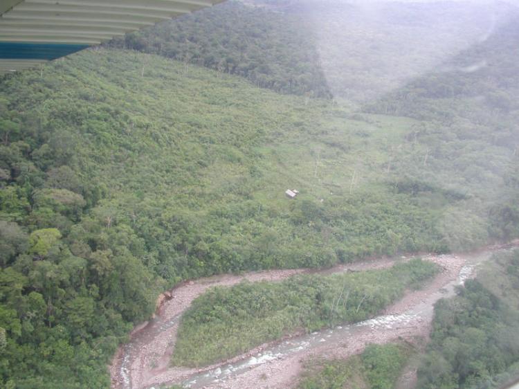Foto Agricola en Venta en CODO DEL POZUZO, , Huanuco - 128 hectareas - U$D 155.000 - AGV11418 - BienesOnLine
