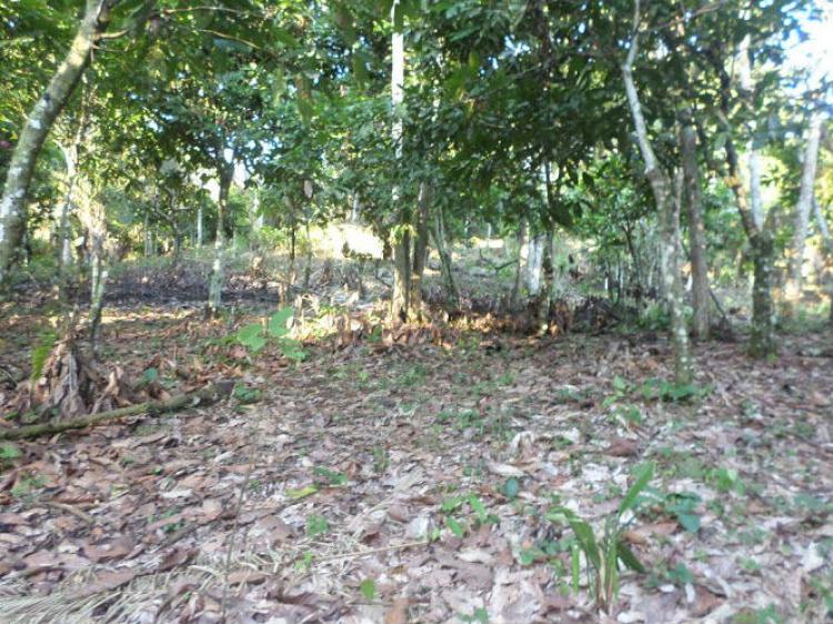 Foto Terreno en Venta en Tarapoto, San Martin - 3 hectareas - S/. 120.000 - TEV16968 - BienesOnLine