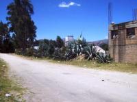 Terreno en Venta en  Cajamarca