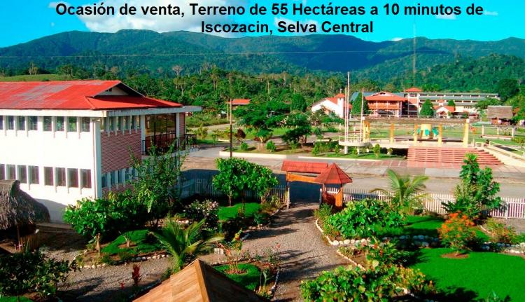 Foto Terreno en Venta en Iscozacin, Palcazu, Oxapampa - 55 hectareas - S/. 275.000 - TEV23789 - BienesOnLine