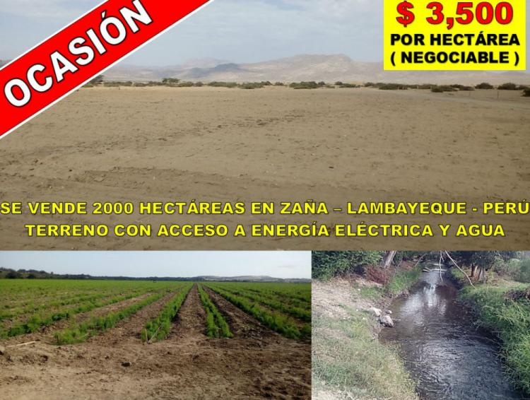 Foto Agricola en Venta en Saa, Chiclayo - U$D 3.500 - AGV19945 - BienesOnLine